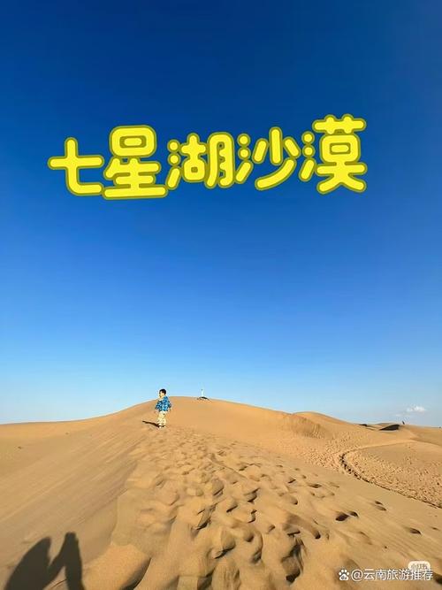 七星湖沙漠生态旅游区,七星湖沙漠生态旅游区门票-第8张图片 七星湖沙漠生态旅游区,七星湖沙漠生态旅游区门票-第8张图片