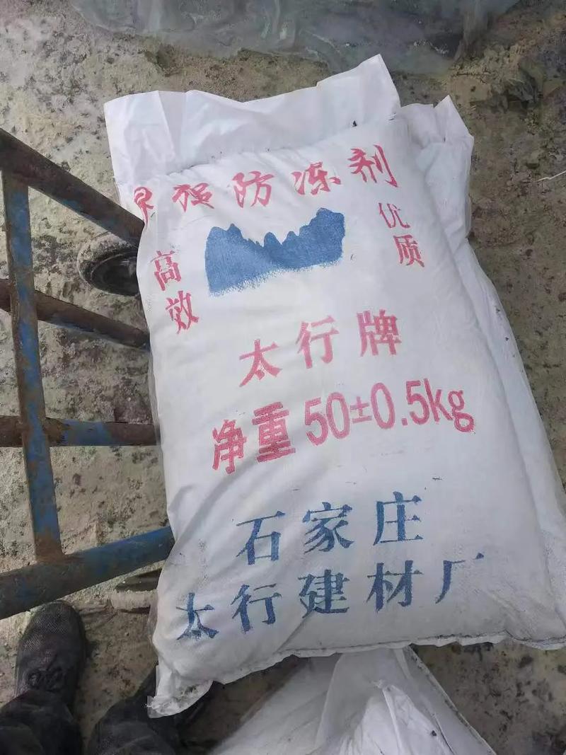 石家庄今日头条新闻(石家庄今日头条新闻网)-第4张图片 石家庄今日头条新闻(石家庄今日头条新闻网)-第4张图片