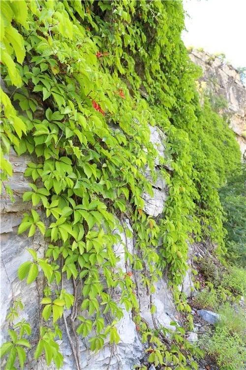 河南三门峡最新新闻,河南三门峡市最新疫情-第1张图片 河南三门峡最新新闻,河南三门峡市最新疫情-第1张图片