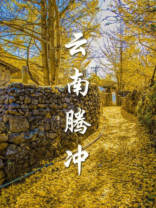 云南腾冲有哪些旅游景点,云南腾冲有哪些旅游景点好玩-第7张图片 云南腾冲有哪些旅游景点,云南腾冲有哪些旅游景点好玩-第7张图片