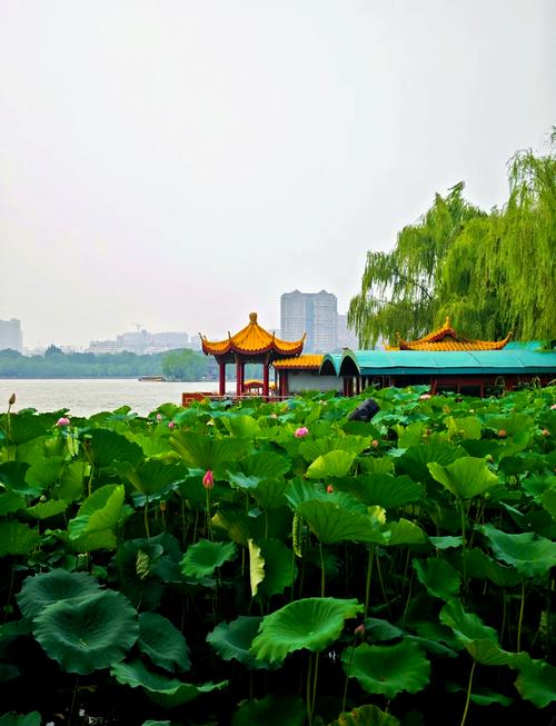 附近旅游景点推荐(上海附近旅游景点推荐)-第6张图片 附近旅游景点推荐(上海附近旅游景点推荐)-第6张图片