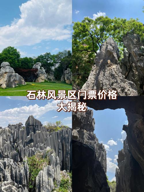 昆明最新新闻头条 - 昆明新闻最新头条今日-第1张图片 昆明最新新闻头条 - 昆明新闻最新头条今日-第1张图片