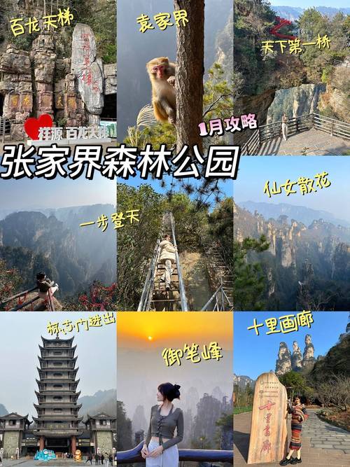 到张家界旅游网 - 张家界旅游网官方网站-第2张图片