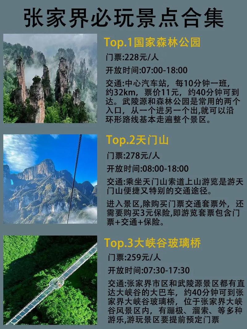 到张家界旅游网 - 张家界旅游网官方网站-第7张图片