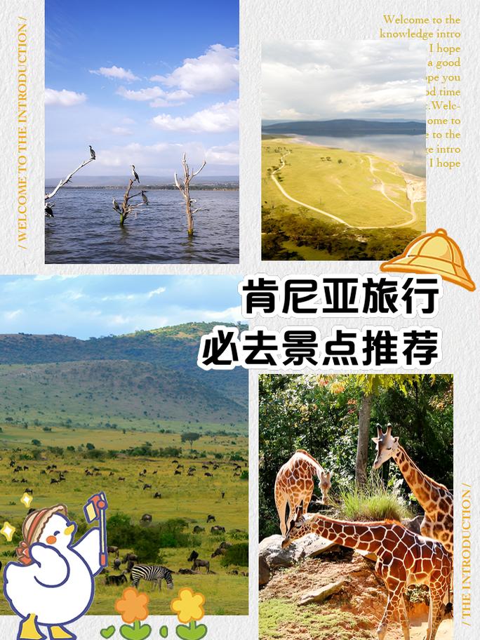 肯尼亚旅游旺季是几月份啊(肯尼亚旅游最佳时间)-第3张图片 肯尼亚旅游旺季是几月份啊(肯尼亚旅游最佳时间)-第3张图片