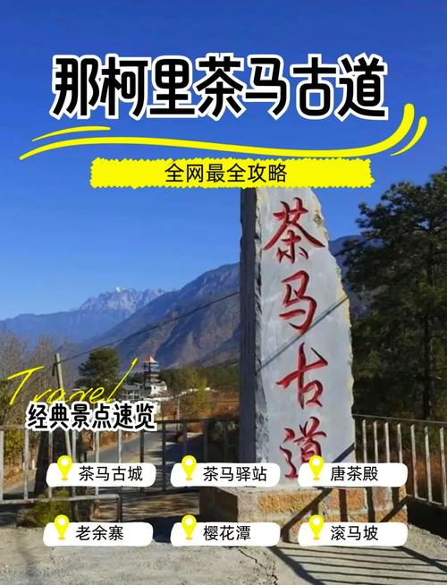 普洱旅游安全吗现在，普洱旅游注意事项-第4张图片