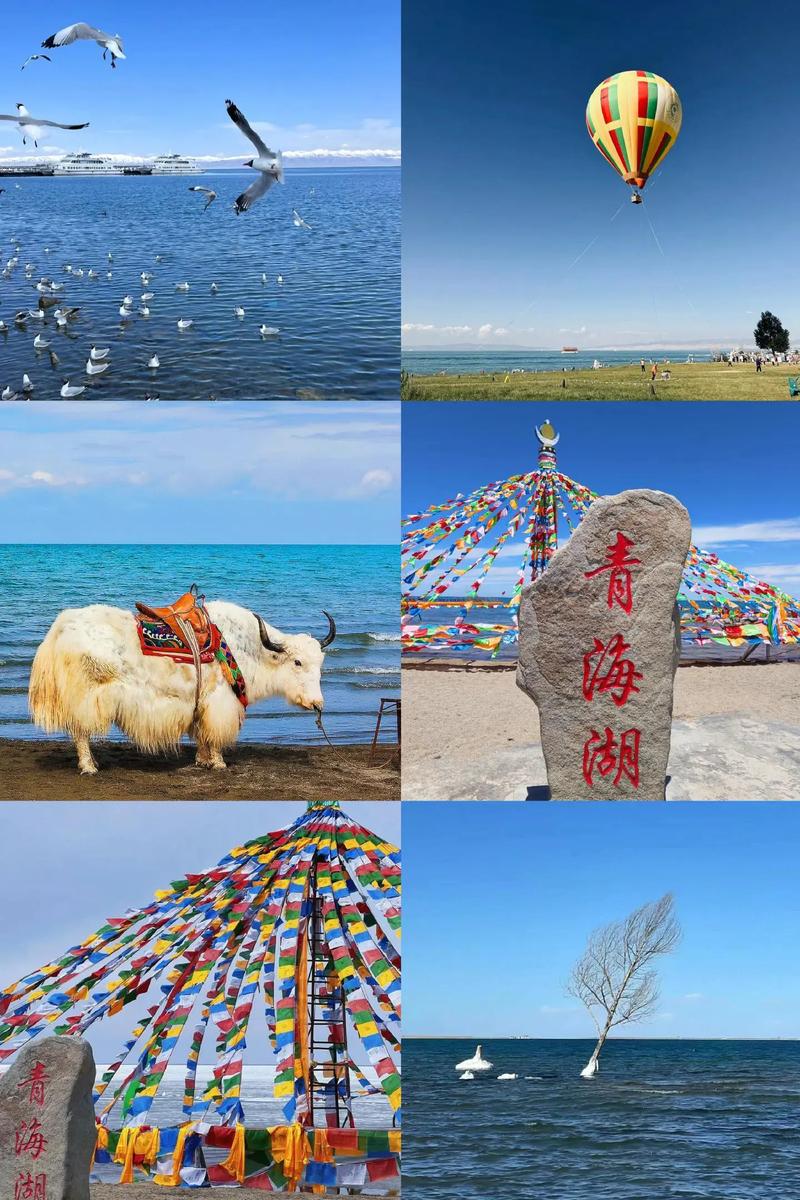 海北旅游景点介绍大全集,海北旅游景点有哪些-第4张图片 海北旅游景点介绍大全集,海北旅游景点有哪些-第4张图片