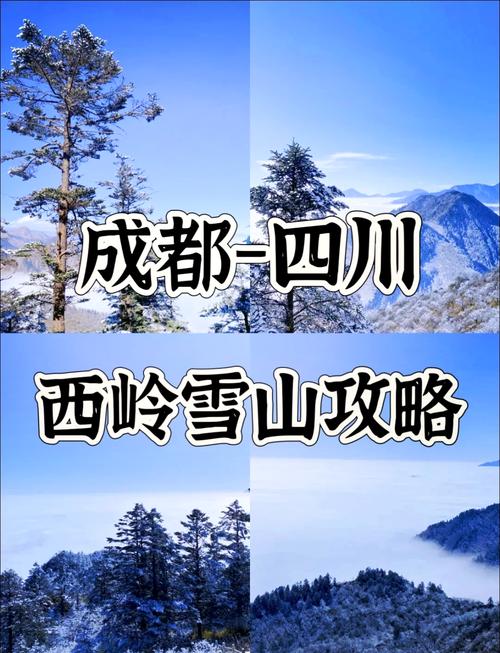 西岭雪山景点海拔高度是多少米,西岭雪山各景点海拔-第3张图片 西岭雪山景点海拔高度是多少米,西岭雪山各景点海拔-第3张图片