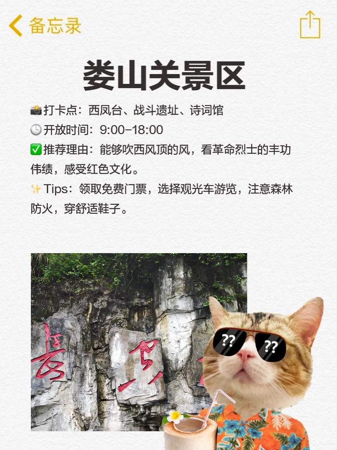 遵义旅游攻略必玩的景点,遵义旅游攻略必玩的景点儿童-第3张图片 遵义旅游攻略必玩的景点,遵义旅游攻略必玩的景点儿童-第3张图片
