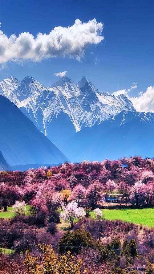 林芝旅游景点有哪些景点介绍,林芝旅游必去景点-第2张图片 林芝旅游景点有哪些景点介绍,林芝旅游必去景点-第2张图片