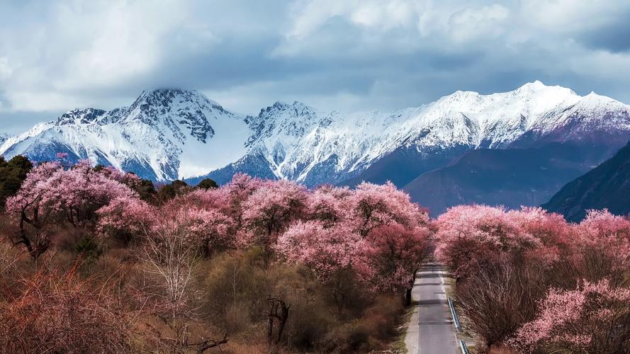 林芝旅游景点有哪些景点介绍,林芝旅游必去景点-第5张图片 林芝旅游景点有哪些景点介绍,林芝旅游必去景点-第5张图片