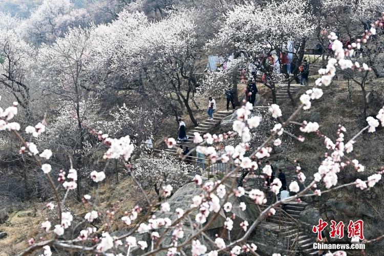 棋盘山风景区门票费用石家庄,石家庄棋盘山景区电话-第4张图片 棋盘山风景区门票费用石家庄,石家庄棋盘山景区电话-第4张图片