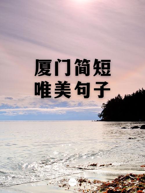 鼓浪屿旅游发朋友圈的句子搞笑(鼓浪屿旅游朋友圈说说)-第6张图片 鼓浪屿旅游发朋友圈的句子搞笑(鼓浪屿旅游朋友圈说说)-第6张图片