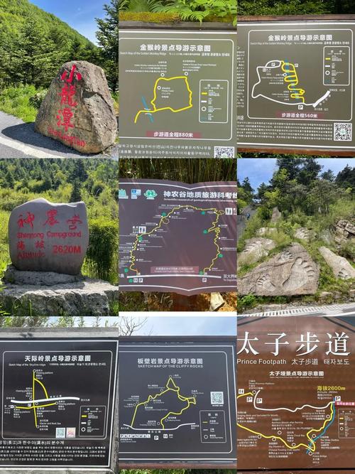 湖北神农架游玩攻略自驾游 - 湖北神农架旅游攻略自助游-第4张图片 湖北神农架游玩攻略自驾游 - 湖北神农架旅游攻略自助游-第4张图片