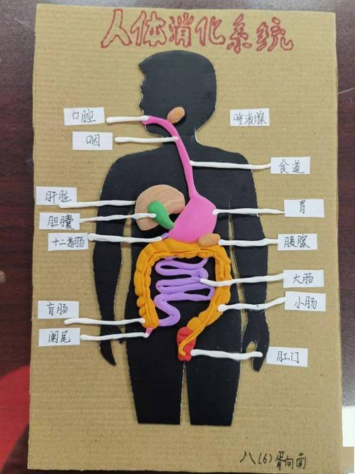 怎么介绍模型制作过程,模型介绍怎么写-第4张图片 怎么介绍模型制作过程,模型介绍怎么写-第4张图片