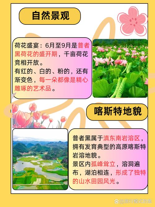 普者黑最佳旅游时间是几月份,2月份普者黑适合旅游吗-第2张图片 普者黑最佳旅游时间是几月份,2月份普者黑适合旅游吗-第2张图片