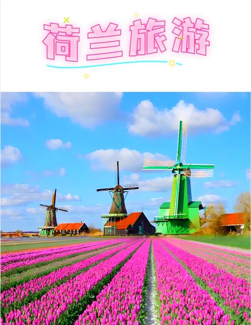 荷兰的旅游路线怎么样,荷兰旅游攻略自助游-第3张图片 荷兰的旅游路线怎么样,荷兰旅游攻略自助游-第3张图片