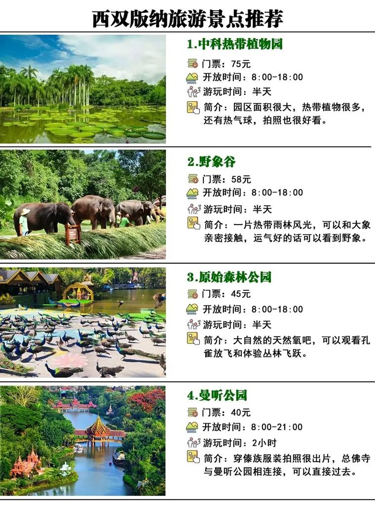 西双版纳旅游多少钱?,去云南西双版纳旅游需要多少钱-第3张图片 西双版纳旅游多少钱?,去云南西双版纳旅游需要多少钱-第3张图片