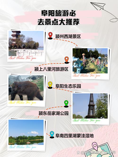 阜阳旅游指南最新,阜阳旅游景点大全排名 一日游-第1张图片 阜阳旅游指南最新,阜阳旅游景点大全排名 一日游-第1张图片