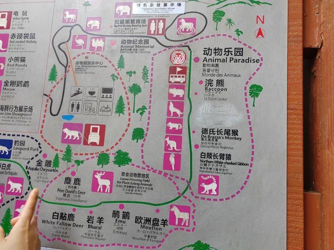 碧峰峡旅游线路攻略最新 - 碧峰峡旅游线路攻略最新版-第6张图片