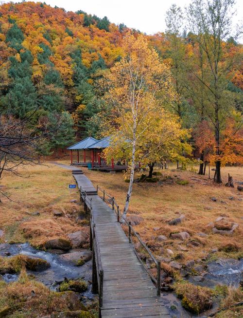 伊春景点介绍(伊春景区介绍)-第2张图片 伊春景点介绍(伊春景区介绍)-第2张图片