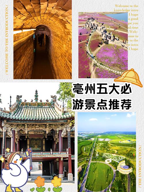 亳州景点大全一日游路线，亳州游玩景点-第5张图片