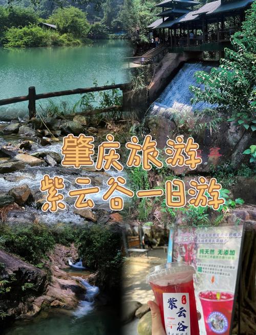 肇庆旅游攻略必去景点推荐一下（肇庆旅游攻略必去景点大全）-第4张图片