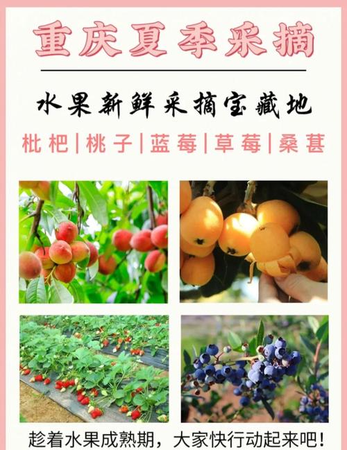 金佛山自驾一日游攻略2019(金佛山风景区自驾游旅游攻略)-第4张图片 金佛山自驾一日游攻略2019(金佛山风景区自驾游旅游攻略)-第4张图片