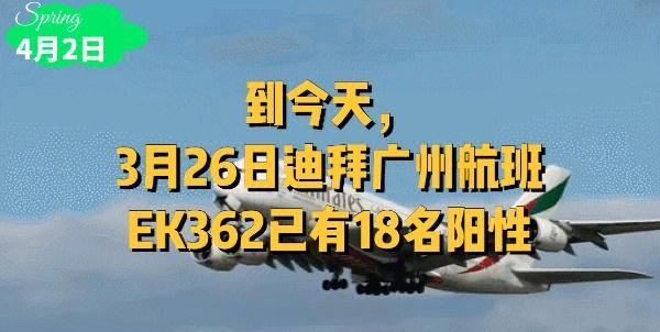 广州飞迪拜会被卡关吗(广州飞迪拜要打疫苗针吗)-第2张图片 广州飞迪拜会被卡关吗(广州飞迪拜要打疫苗针吗)-第2张图片