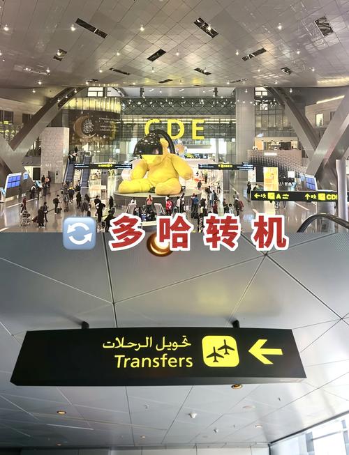 广州飞迪拜会被卡关吗(广州飞迪拜要打疫苗针吗)-第3张图片 广州飞迪拜会被卡关吗(广州飞迪拜要打疫苗针吗)-第3张图片