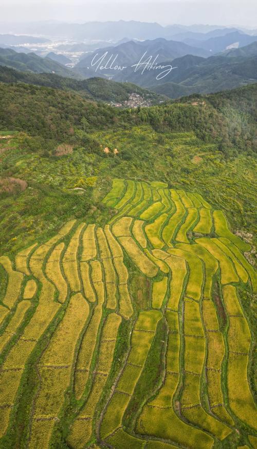 宁波旅游景区哪里好玩免费（宁波哪里有好玩的景区免费）-第5张图片