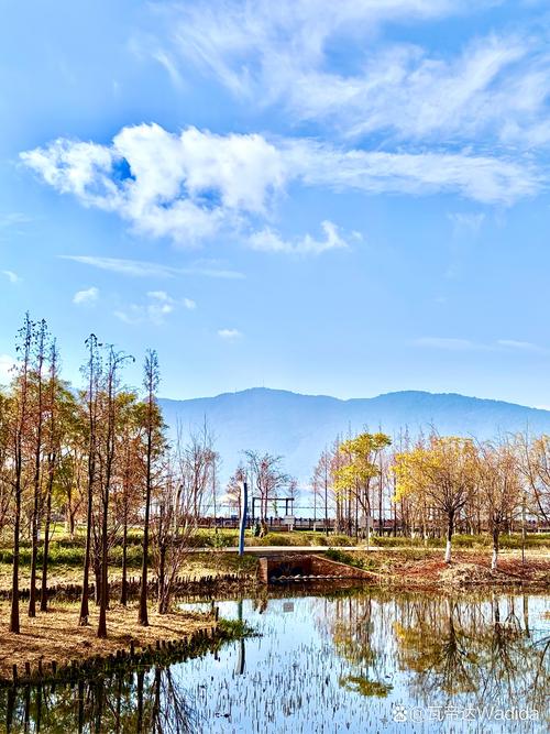 昆明冬季景点(昆明冬季景点有哪些)-第2张图片 昆明冬季景点(昆明冬季景点有哪些)-第2张图片