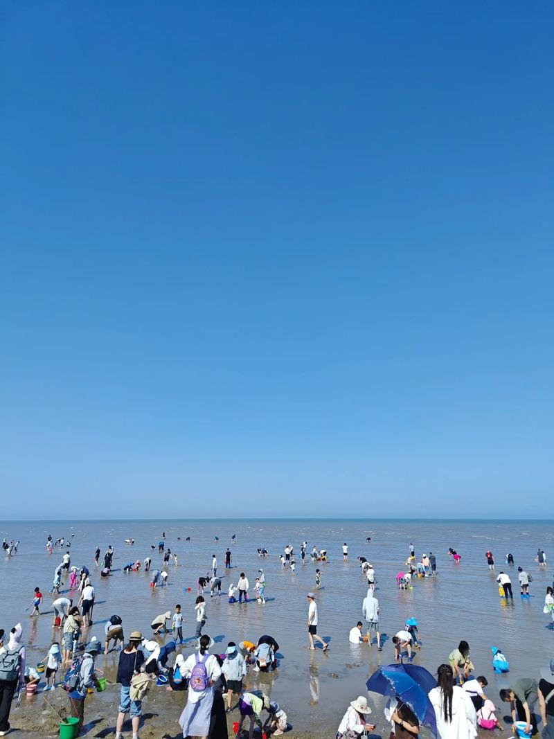 天津海边哪儿好玩 - 天津海边儿哪个地方比较好玩儿-第1张图片 天津海边哪儿好玩 - 天津海边儿哪个地方比较好玩儿-第1张图片