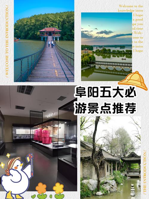 阜阳旅游景点大全排名榜,阜阳旅游景点大全排名榜最新-第1张图片 阜阳旅游景点大全排名榜,阜阳旅游景点大全排名榜最新-第1张图片