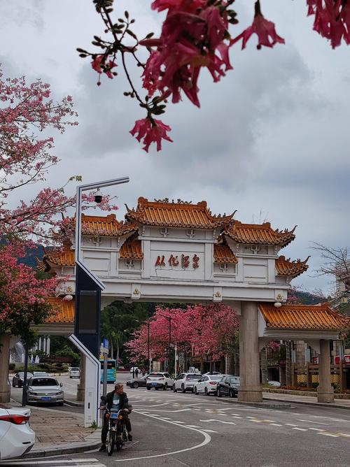 广东从化旅游景点大全(广东从化旅游景点大全图片)-第4张图片 广东从化旅游景点大全(广东从化旅游景点大全图片)-第4张图片