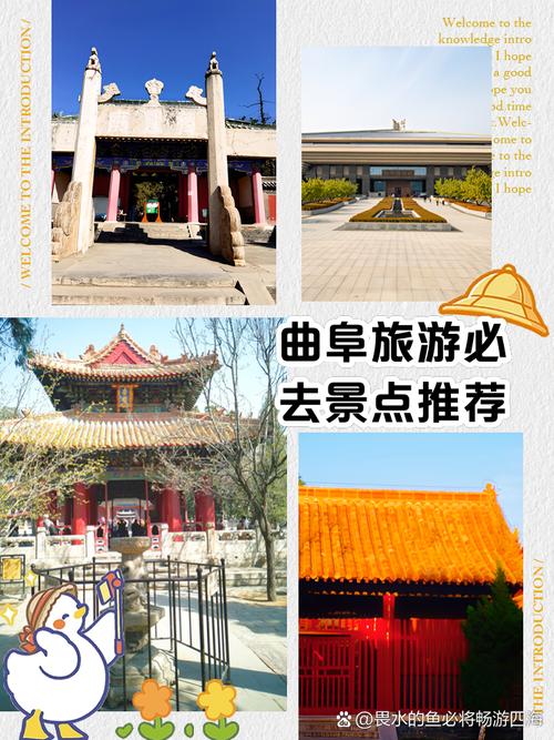 曲阜旅游景点有哪些地方(曲阜旅游必去景点)-第2张图片 曲阜旅游景点有哪些地方(曲阜旅游必去景点)-第2张图片