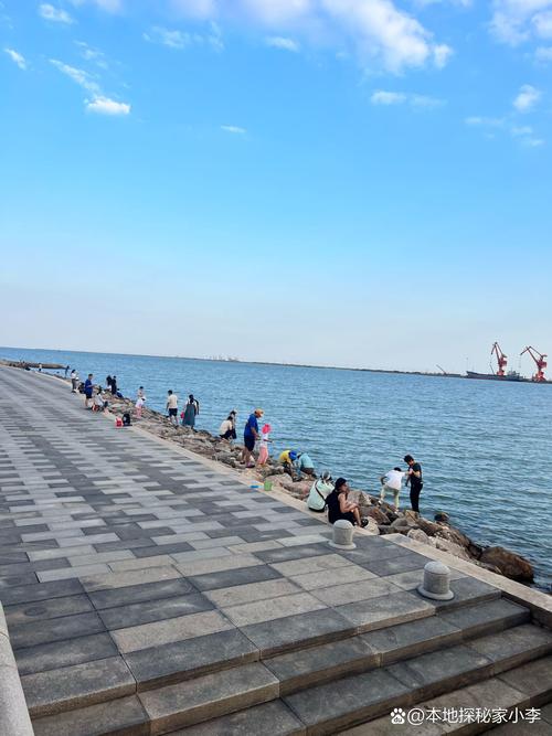 天津好玩的海边景点,天津最值得去的海边-第4张图片 天津好玩的海边景点,天津最值得去的海边-第4张图片