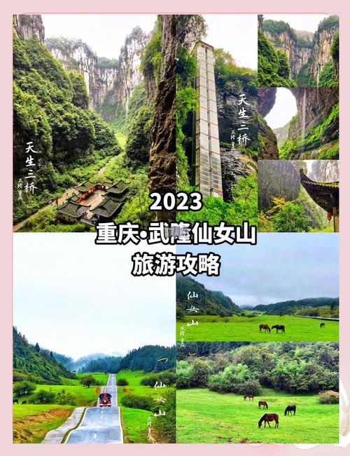 武隆旅游攻略仙女山(武隆旅游攻略仙女山路线)-第4张图片 武隆旅游攻略仙女山(武隆旅游攻略仙女山路线)-第4张图片