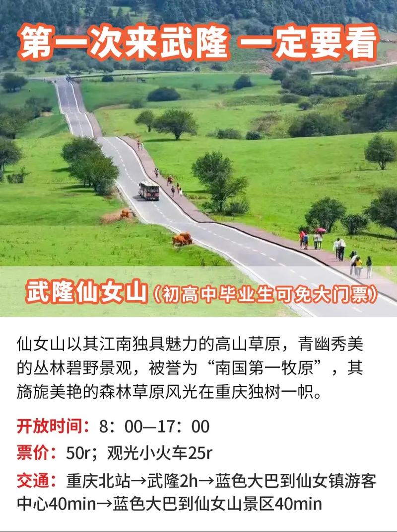 武隆旅游攻略仙女山(武隆旅游攻略仙女山路线)-第6张图片 武隆旅游攻略仙女山(武隆旅游攻略仙女山路线)-第6张图片