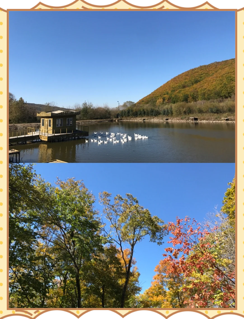 哈尔滨周边旅游景区哪里好玩一点,哈尔滨周边旅游景区哪里好玩一点儿-第1张图片 哈尔滨周边旅游景区哪里好玩一点,哈尔滨周边旅游景区哪里好玩一点儿-第1张图片