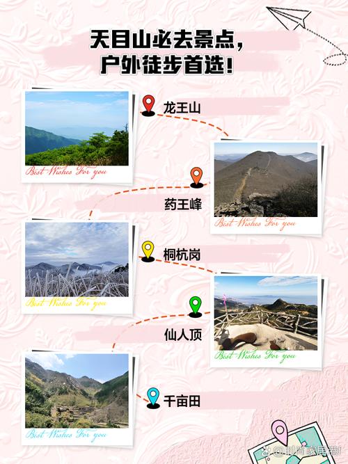 天目山旅游景点攻略天气预报查询下载,天目山风景区旅游攻略-第1张图片 天目山旅游景点攻略天气预报查询下载,天目山风景区旅游攻略-第1张图片