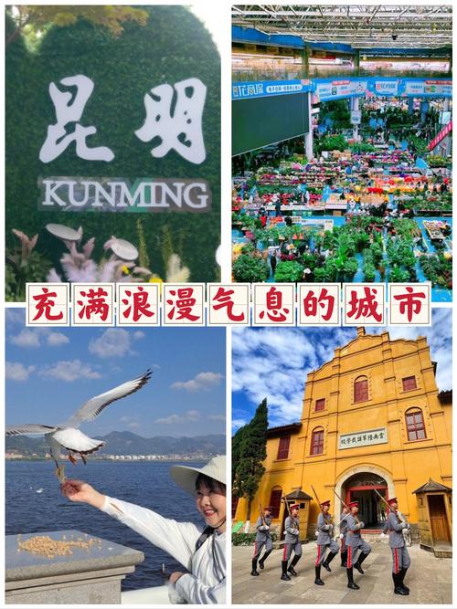 昆明旅游几天合适去哪里玩(昆明旅游最佳)-第4张图片 昆明旅游几天合适去哪里玩(昆明旅游最佳)-第4张图片