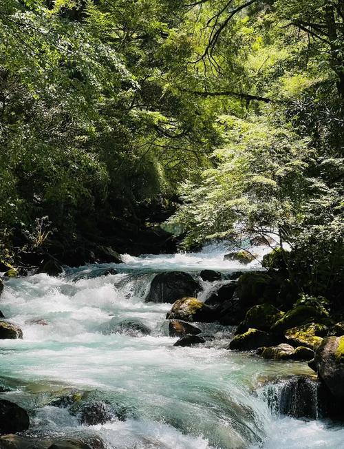 四川卧龙旅游攻略要玩多久(四川卧龙风景区)-第2张图片 四川卧龙旅游攻略要玩多久(四川卧龙风景区)-第2张图片