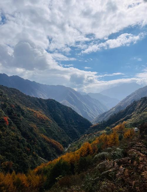 四川卧龙旅游攻略要玩多久(四川卧龙风景区)-第3张图片 四川卧龙旅游攻略要玩多久(四川卧龙风景区)-第3张图片