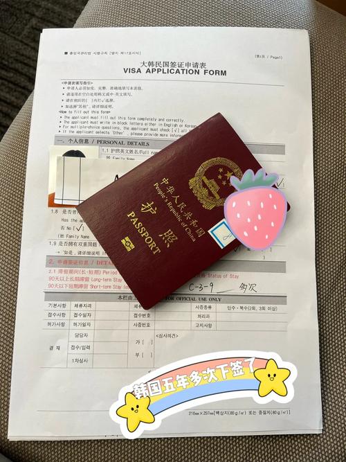 现在韩国旅游签证能入境吗,现在韩国旅游签证可以去吗-第6张图片 现在韩国旅游签证能入境吗,现在韩国旅游签证可以去吗-第6张图片