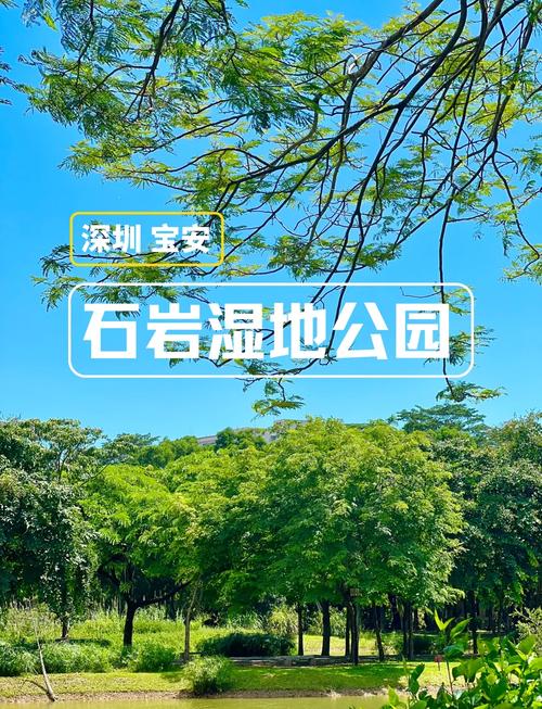 深圳旅游攻略景点推荐湿地公园 - 深圳湿地生态公园-第1张图片