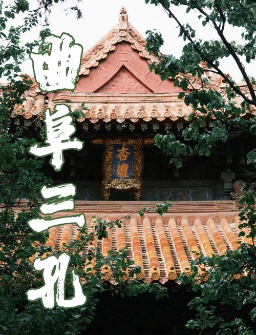 曲阜旅游攻略自驾游，曲阜旅游攻略一日游-第2张图片