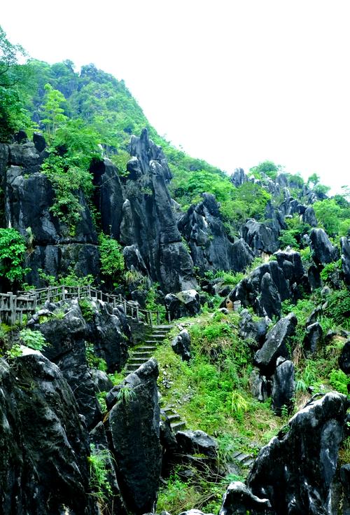 贺州景点旅游介绍(贺州经典景点)-第1张图片 贺州景点旅游介绍(贺州经典景点)-第1张图片