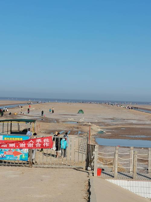 东营旅游攻略必去景点有哪些，东营旅游景点有哪些景点-第3张图片
