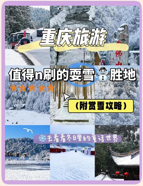 金佛山可以看雪吗?,金佛山可以看雪吗最新消息-第3张图片 金佛山可以看雪吗?,金佛山可以看雪吗最新消息-第3张图片